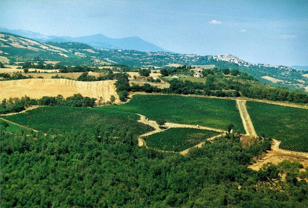 Fattoria Poggio Foco Villa Manciano Exterior photo